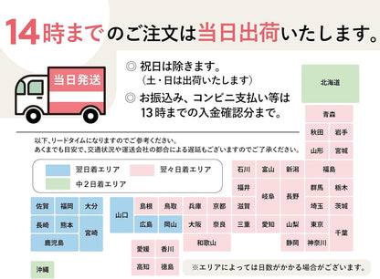 無地タイプ（6W・8W・10W）/500個〜